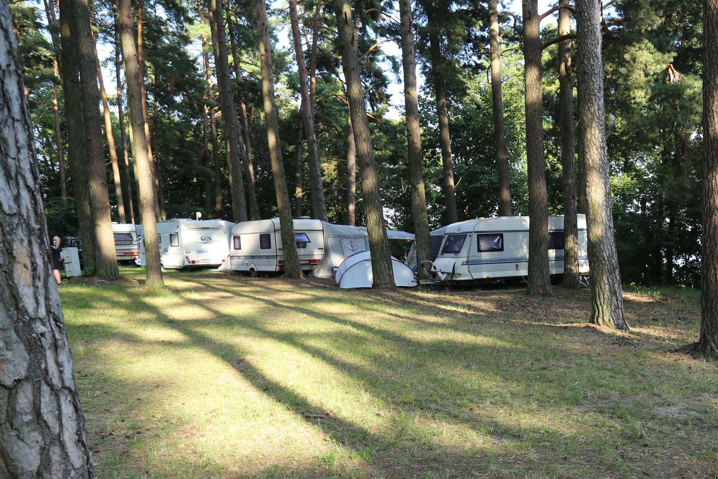 Przerwanki