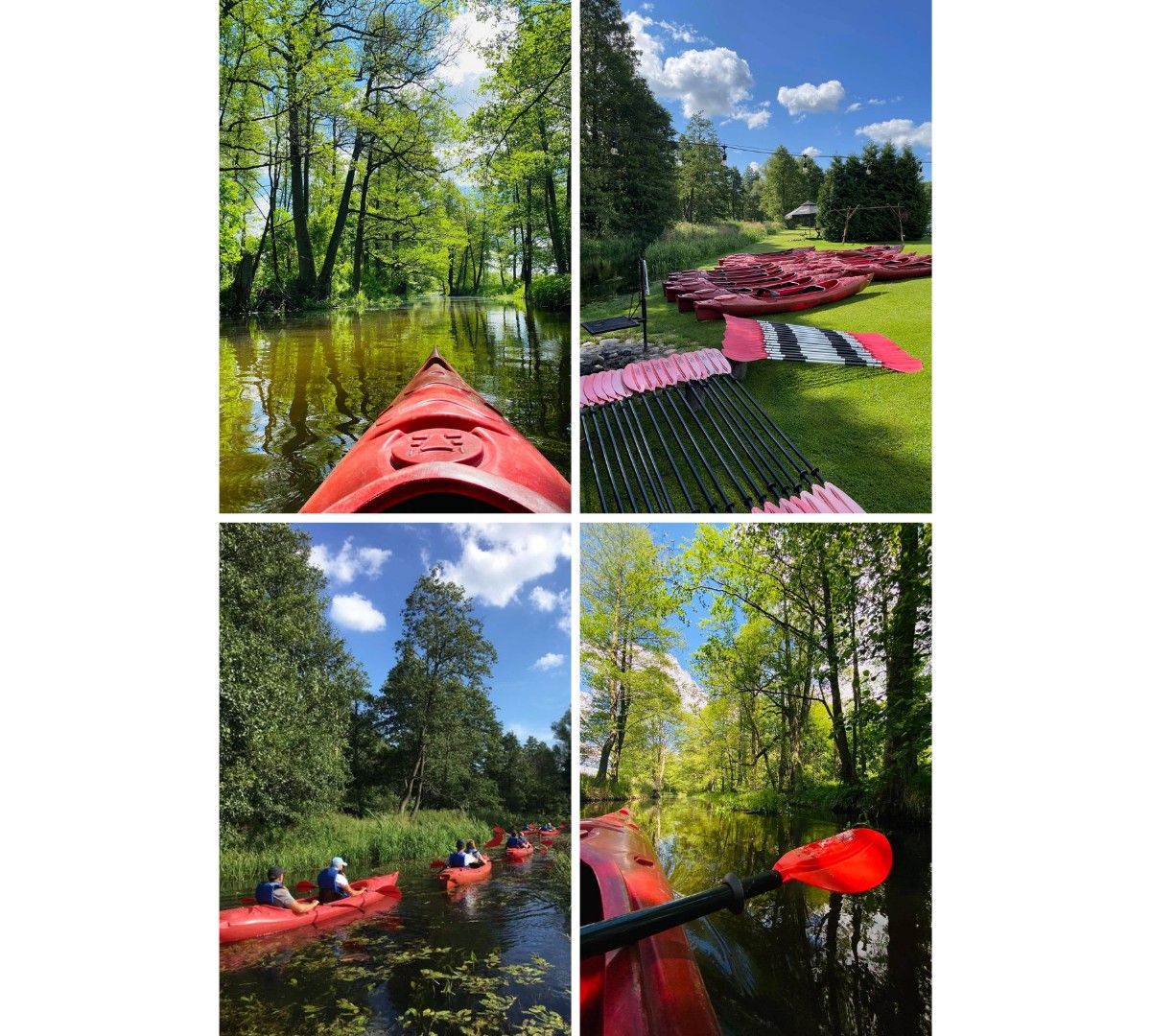 Spływy kajakowe ,,u Małgosi”