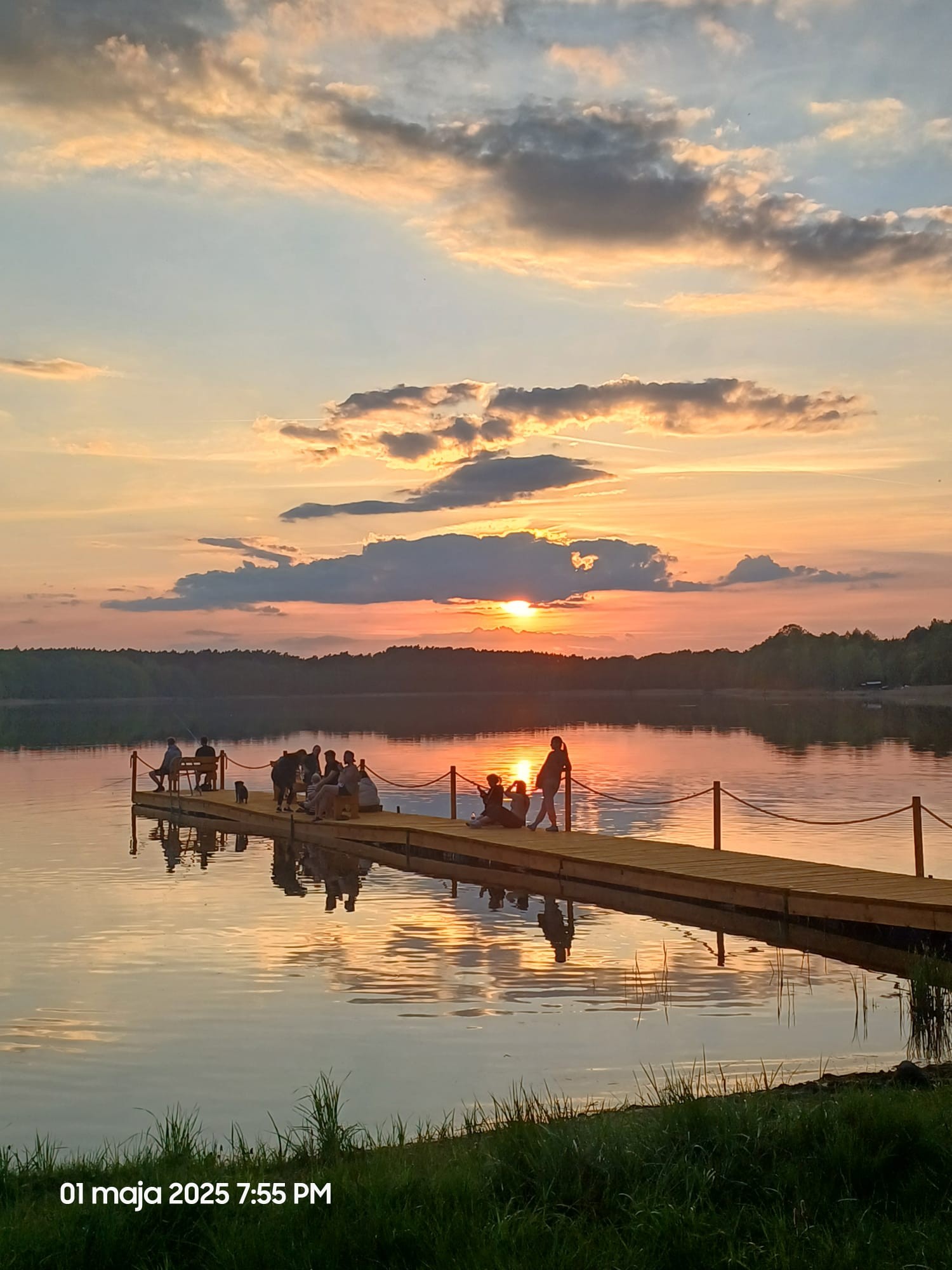 Domki pod lasem - kajaki szuwary.pl